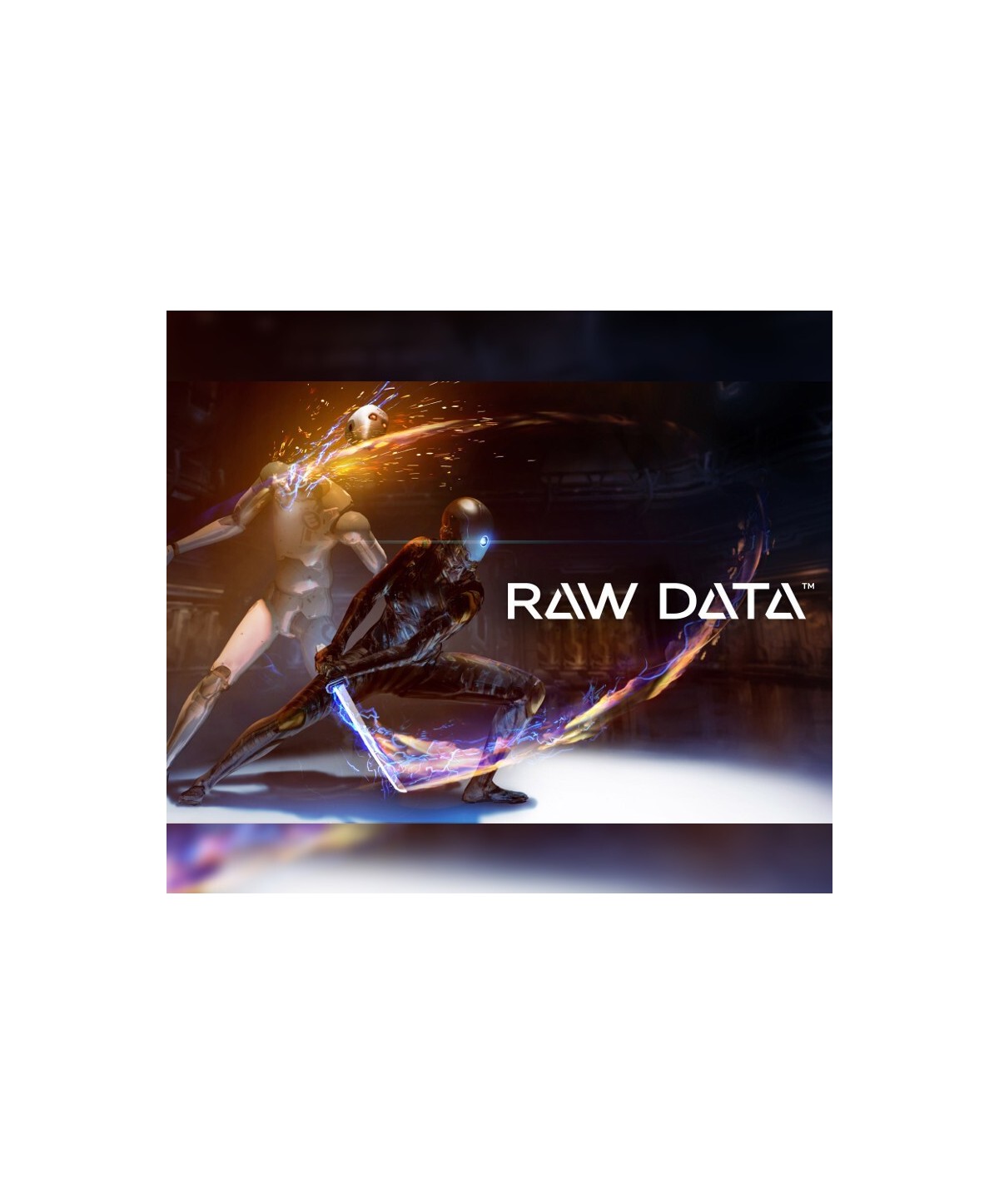 Raw Data Steam Key GLOBAL
